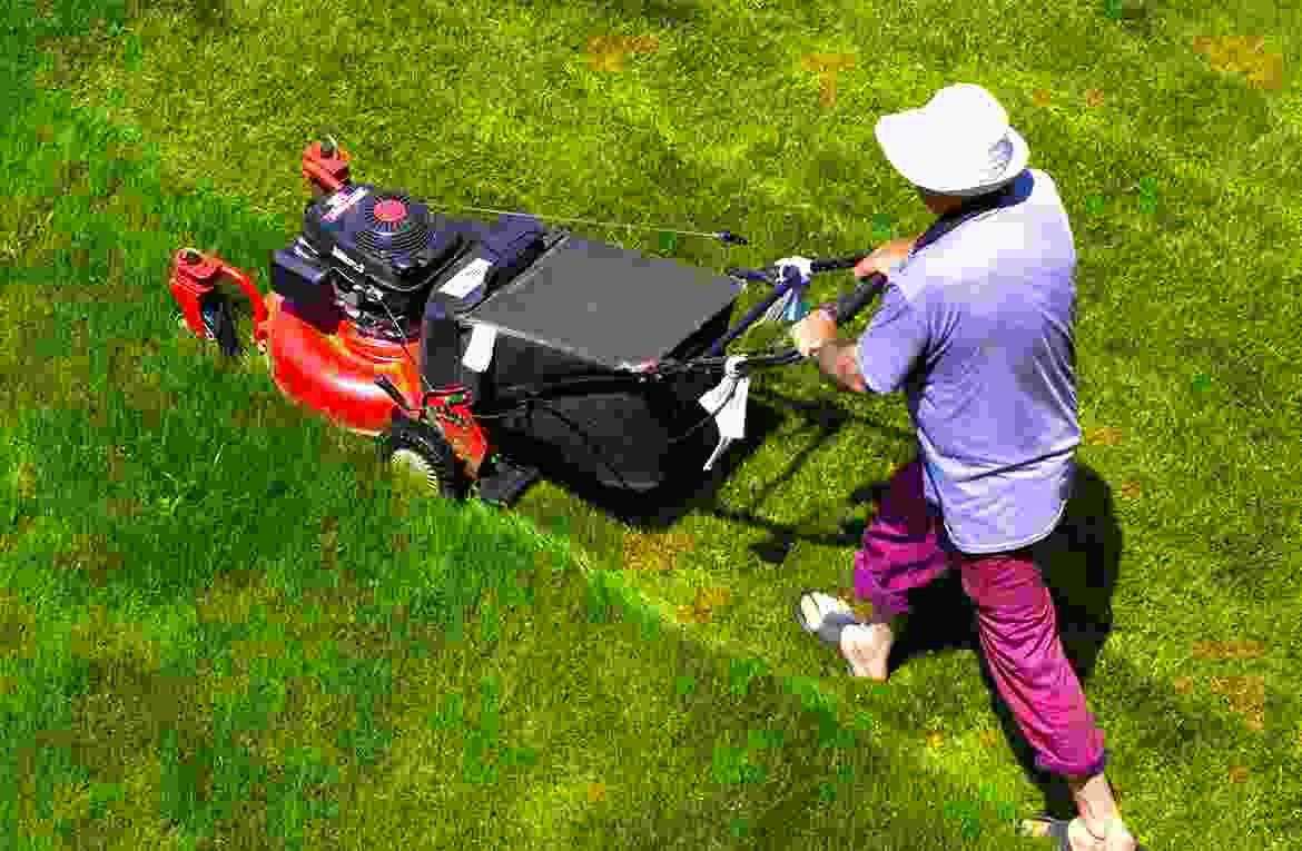 The walk-behind lawnmower for trimming….